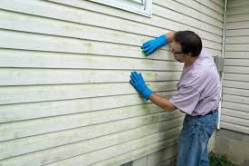 Best Custom Trim and Detailing for Siding  in Dundalk, MD